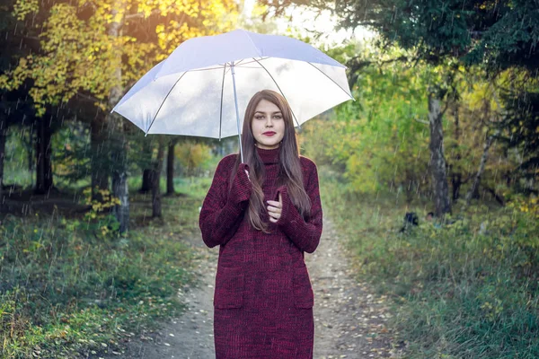 Mutlu genç kadın yağmur altında beyaz bir şemsiye ile Sunny Park'ta yürüyordunuz. Mevsim ve sonbahar ruh kavramı