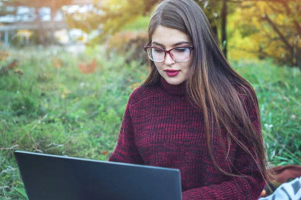 Femme travaillant ou étudiant sur ordinateur portable texte d'impression sans fil. Autumn Park. Concept d'éducation et de travail avec la nature — Photo