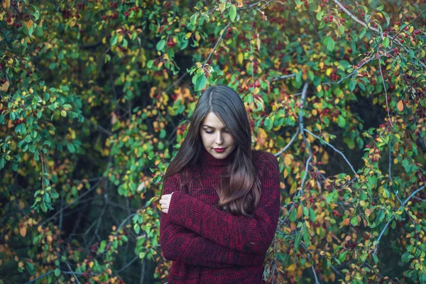 Retrato de mulher em vestido vermelho em bosque de cereja de outono escuro. Conceito para design de arte da moda como pano de fundo para texto — Fotografia de Stock