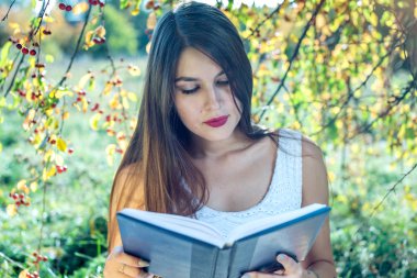 Kadın bir güneşli yaz gününde yeşil çim üzerinde bir parkta otururken ilginç bir kitap okuma. Öğrenci eğitim kavramı