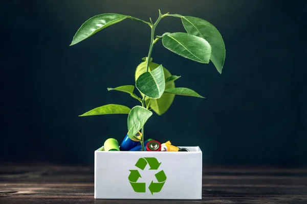 Eliminación adecuada de tóxicos para el medio ambiente del suelo y baterías. Reciclaje de sustancias nocivas para el medio ambiente — Foto de Stock