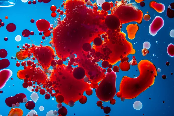 Kırmızı Kabarcıklar Mavi Arka Plan Portre Üzerinde Kan Hücrelerinin Soyutlama — Stok fotoğraf