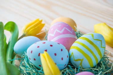 Bir ışık ahşap arka plan üzerinde renkli Paskalya yumurtaları Sarı Lale el ile boyalı. Festival bahar kartı