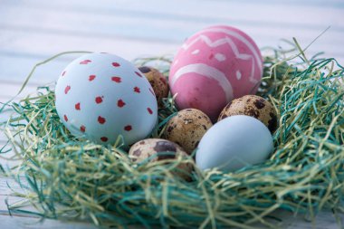 Renkli parlak el boyalı Paskalya yumurtaları bir yuvaya. Tatil bahar kartı