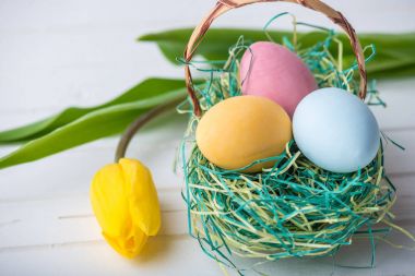 Renkli Paskalya yumurtaları Sarı Lale el ile beyaz bir ahşap zemin üzerine boyalı. Festival bahar kartı