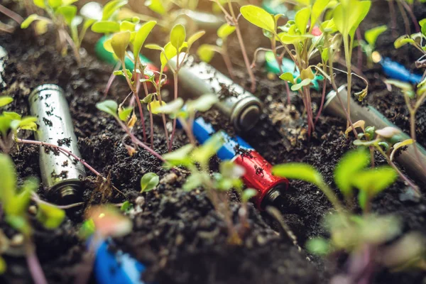 Las baterías alcalinas usadas se encuentran en el suelo donde crecen las plantas. Concepto de contaminación ambiental con residuos domésticos tóxicos —  Fotos de Stock