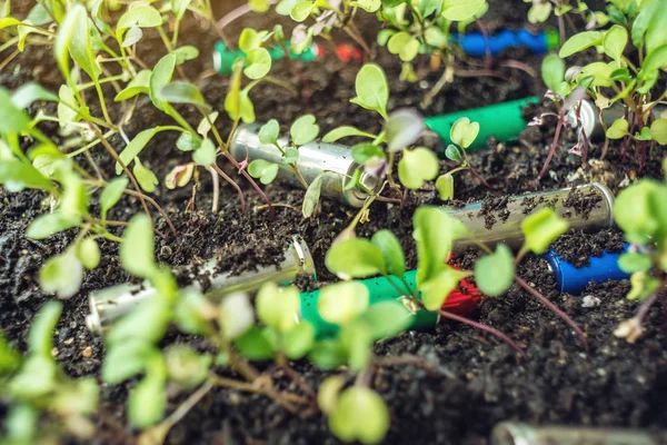 Las baterías alcalinas usadas se encuentran en el suelo donde crecen las plantas. Concepto de contaminación ambiental con residuos domésticos tóxicos —  Fotos de Stock