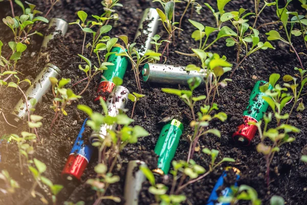 Las baterías alcalinas usadas se encuentran en el suelo donde crecen las plantas. Concepto de contaminación ambiental con residuos domésticos tóxicos —  Fotos de Stock