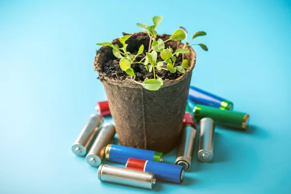 Las baterías alcalinas usadas se encuentran con plantas verdes germinadas. Concepto de contaminación ambiental con residuos domésticos tóxicos —  Fotos de Stock