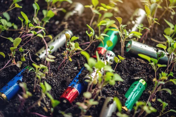 Αλκαλικές μπαταρίες βρίσκονται στο χώμα όπου τα φυτά μεγαλώνουν. Έννοια της περιβαλλοντικής ρύπανσης με τοξικά οικιακά απόβλητα — Φωτογραφία Αρχείου