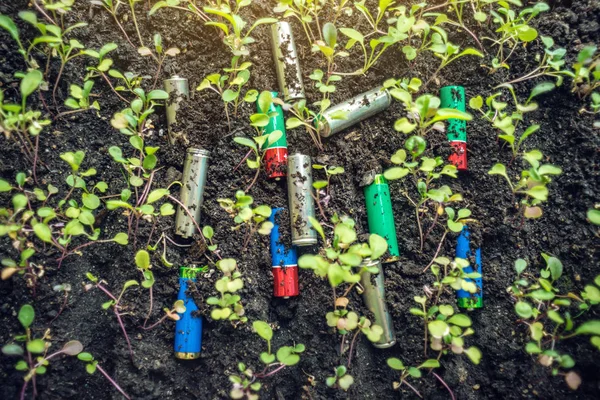 Las Baterías Alcalinas Usadas Encuentran Suelo Donde Crecen Las Plantas —  Fotos de Stock