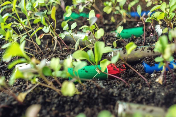 Αλκαλικές Μπαταρίες Βρίσκονται Στο Χώμα Όπου Φυτά Μεγαλώνουν Έννοια Της — Φωτογραφία Αρχείου