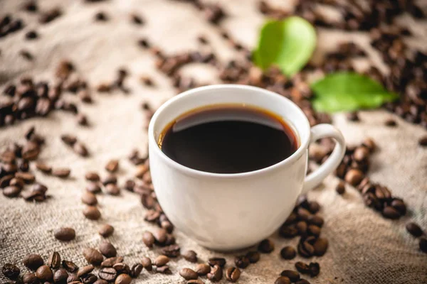Una jarra de café negro fuerte y granos dispersos. Bebida fragante revitalizante de granos recién tostados de café —  Fotos de Stock