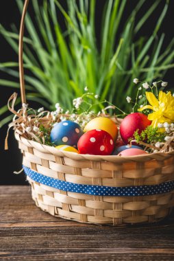 Festive Easter basket with colorful bright eggs and green grass on a wooden table. Traditional spring holiday