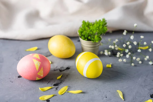 Яркие красочные пасхальные яйца с весенними цветами на сером фоне. Праздничная весенняя пасхальная карта — стоковое фото