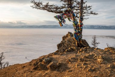 Baykal Gölü kıyısında çok renkli kurdeleleri olan kutsal bir ağaç. Karla kaplı göl ve dağların güzel manzarası.