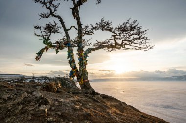 Baykal Gölü kıyısında çok renkli kurdeleleri olan kutsal bir ağaç. Karla kaplı göl ve dağların güzel manzarası.