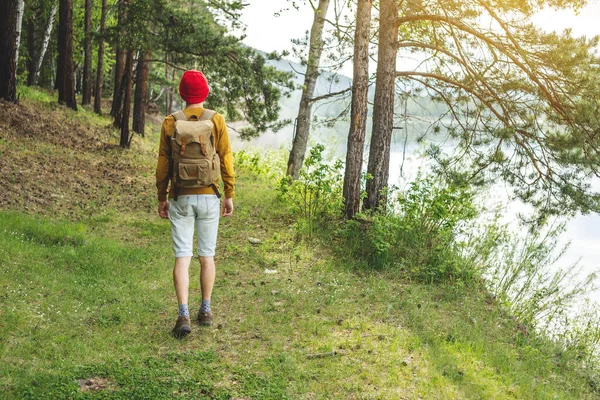 Turista Con Mochila Sombrero Rojo Está Paseando Por Bosque Entre — Foto de Stock