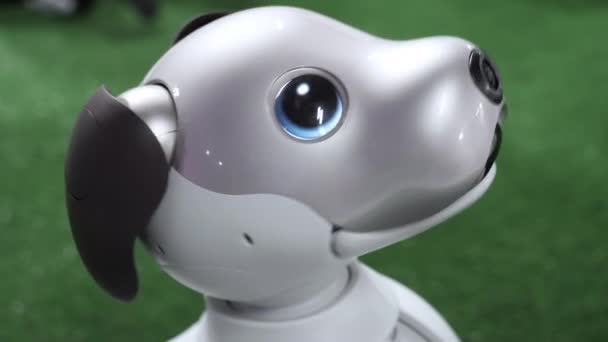 Kopf des Roboterhundes Sony aibo. — Stockvideo