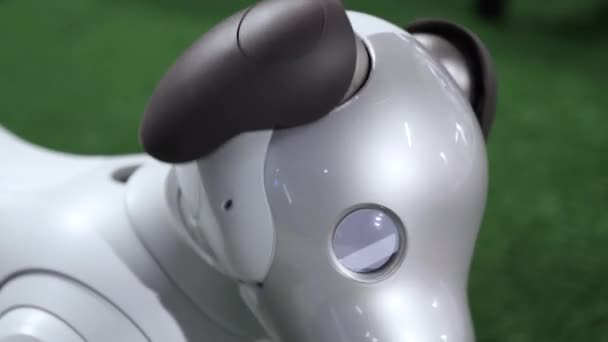 La cabeza de un perro robot Aibo — Vídeos de Stock