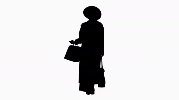 Silhouette Gorgeous woman in a hat posing with shopping bags smiling. — Stock Video