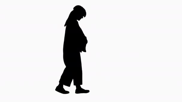Silhouette Beautiful smiling pregnant lady wakling. — Stock Video