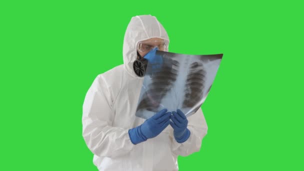 Medic in witte hazmat beschermende pak controleren en scannen lunges X-ray op zoek naar epidemische virus op een groen scherm, Chroma Key. — Stockvideo
