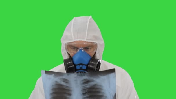 Médecin en combinaison de protection Hazmat blanc vérifiant les poumons rayons X à la recherche d'un virus épidémique sur un écran vert, Chroma Key . — Video