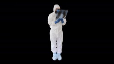 Koruyucu antibakteriyel giysi ve tıbbi maske giyen bulaşıcı hastalıklar doktoru akciğer röntgeni çekiyor, Alpha Channel.