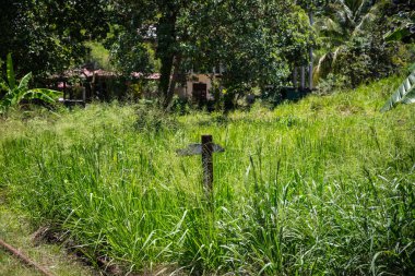 kırsal görünümü