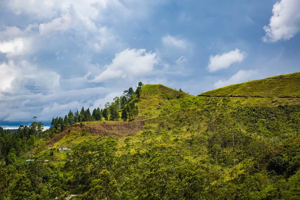 Vista rurale — Foto Stock