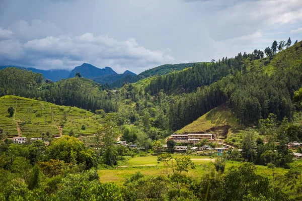 Vista rurale — Foto Stock