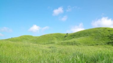 Aso alan Japonya Peyzaj
