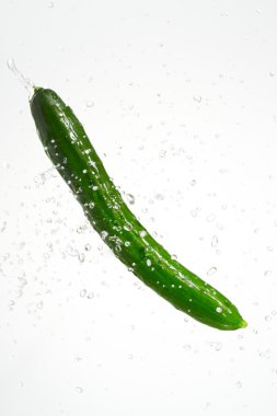 salatalığın üzerinde sıçrama ile beyaz