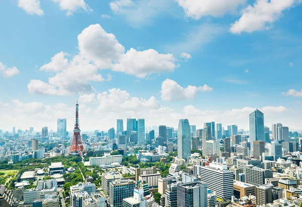 Landschap van de stad Tokio — Stockfoto