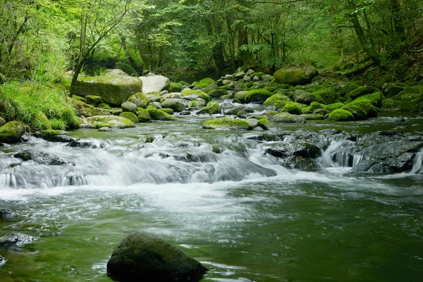 Paysage de ruisseau clair Photos De Stock Libres De Droits