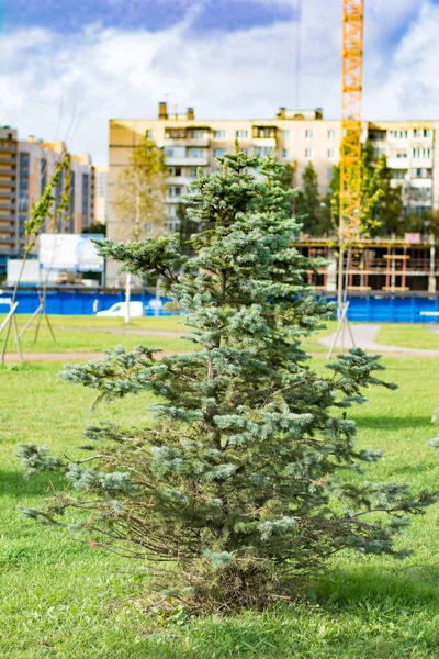 Yakın plan ya da arka planda bir inşaat alanı.