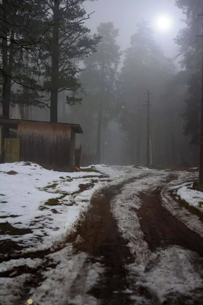 Uzağa uzanan bir yol, ahşap bir kulübeyi ve sisin içindeki ağaçları geçerek..