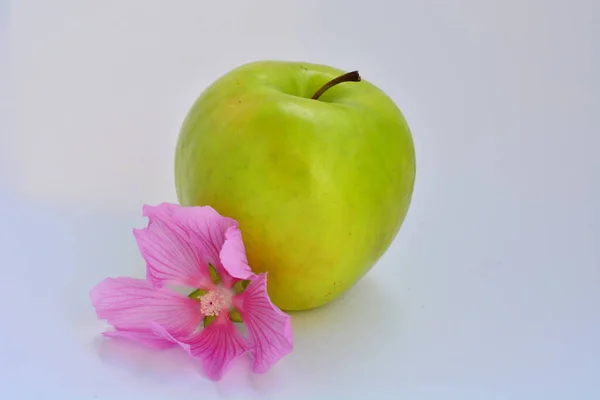 Pembe çiçekte yeşil bir elma. Yüksek kalite fotoğraf
