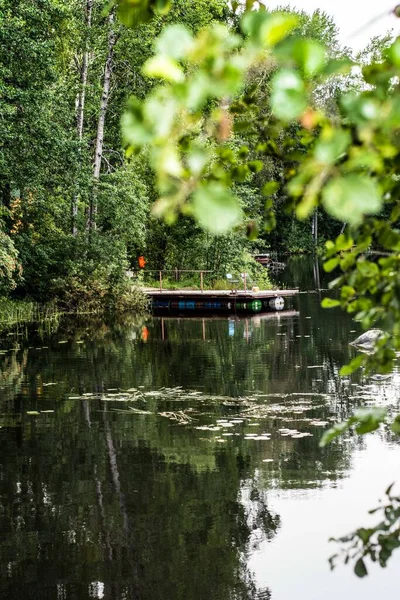 Vuoksa Nehri Kıyısı Ağaçlar ve gökyüzüne karşı yeşillik