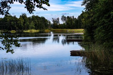 Vuoksa Nehri Kıyısı Ağaçlar ve gökyüzüne karşı yeşillik