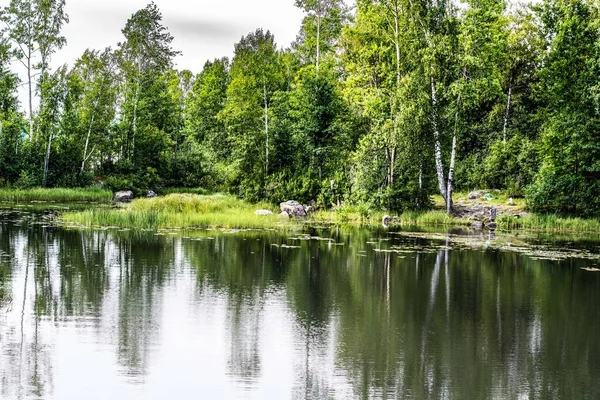 Vuoksa river Bank with trees and greenery against the sky — Stock Photo, Image