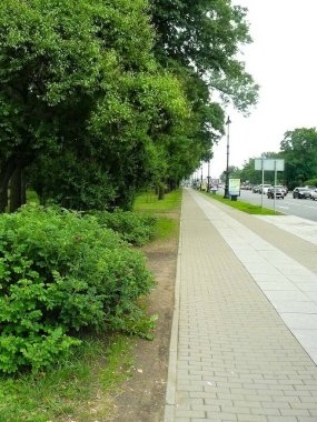 Caddenin kenarında ağaçların olduğu bir patika.