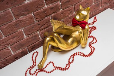 Altın kedi bir kitap okuma kırmızı boncuklar ile beyaz bir yüzey üzerinde yatıyor, oturma odası iç