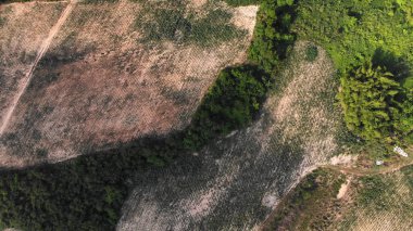 Yeşil çimenler üzerinde yağmurlu küçük gölden güzel bir manzara. Tayland. üst görünüm.