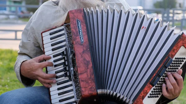 Nizhnevartovsk, Rusya - 25 Ağustos 2019: sokak müzisyenleri düğme akordeon ve trompet çalıyor