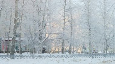 Karlı kış güneşli bir günde şehirde, kar altındaki ağaçlar, kış gelir, yavaş çekim.