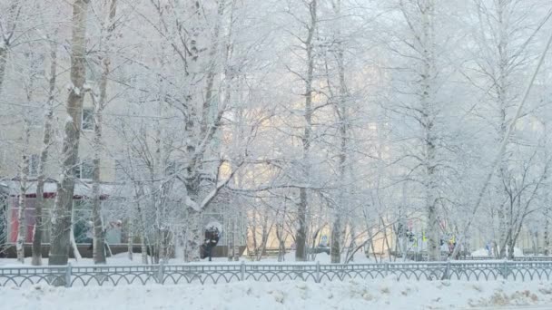 Snöig vinter i staden i solig frostig dag, träd under snö, vinter kommer in, slow motion. — Stockvideo