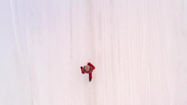 Honan löper längs en vinterväg bland snötäckta snödrivor och träd, en utsikt uppifrån tagen från en drönare — Stockvideo