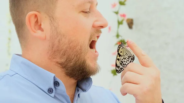 Mâle tient un papillon dans sa main et veut manger un insecte, blague, gros plan — Photo